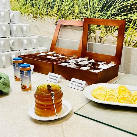 Alga Baltic Svinoústí